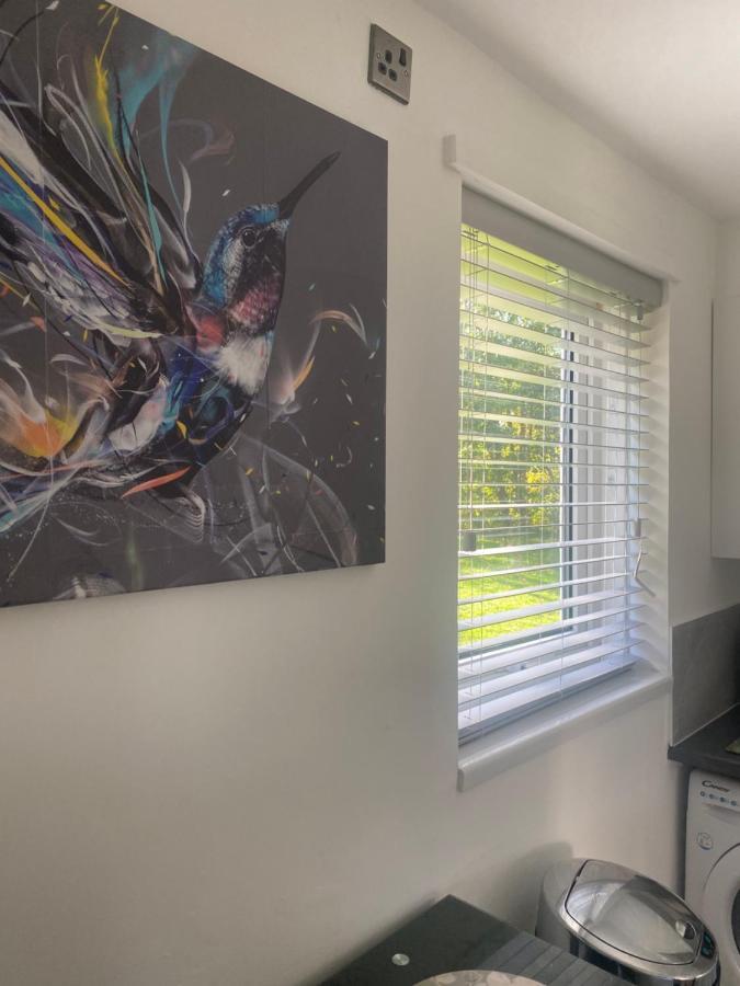 Cosy Studio Apartment Waterlooville Exterior foto